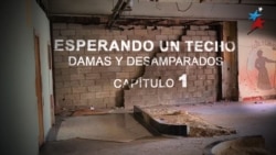 Esperando un techo: Damas y Desamparados | Capítulo 1 Esperando un techo: Damas y Desamparados | Capítulo 1