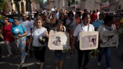 Info Martí | No a la violencia animal en Cuba Info Martí | No a la violencia animal en Cuba