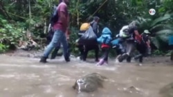 La migración por el Tapón del Darién alcanza cifras históricas La migración por el Tapón del Darién alcanza cifras históricas