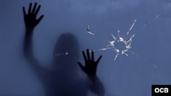 Los observatorios de género independientes han confirmado 32 feminicidios en lo que va de 2024 en Cuba.