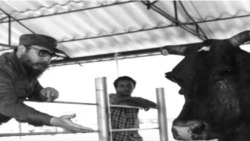 Cuba 60 años (Década 1980 -1989 Segundo Programa)  Cuba 60 años (Década 1980 -1989 Segundo Programa)