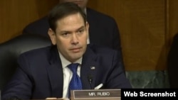 El senador Marco Rubio interviene durante la audiencia sobre la creciente influencia de China en Latinoamérica.