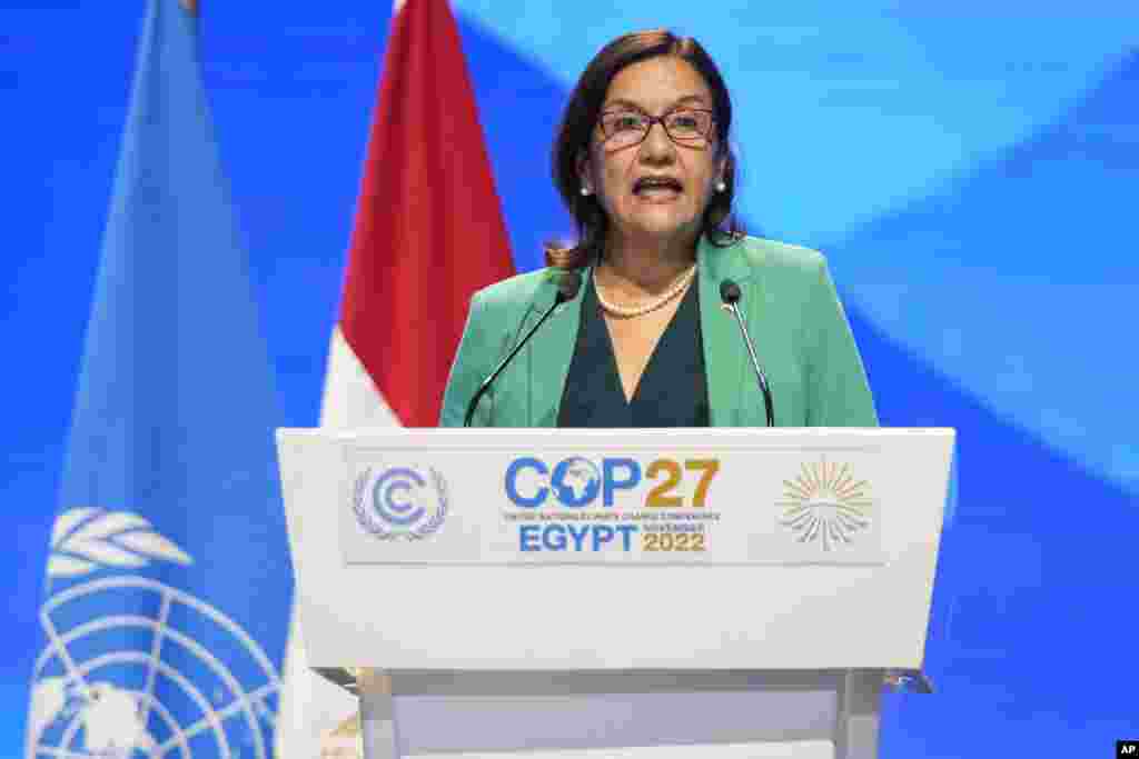 Elba Rosa Pérez, ministra de Ciencia, Tecnología y Medio Ambiente de Cuba.