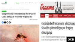 Artículos de Granma y Razones de Cuba