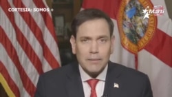 Cubanos en el mundo se unen para alertar a comerciantes de las violaciones de DDHH en Cuba Cubanos en el mundo se unen para alertar a comerciantes de las violaciones de DDHH en Cuba