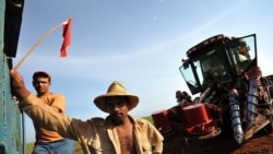 Sindicalistas cubanos exponen demandas Sindicalistas cubanos exponen demandas