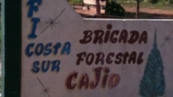 Carboneros de Artemisa se quejan de bajos salarios y pésimas condiciones de trabajo Carboneros de Artemisa se quejan de bajos salarios y pésimas condiciones de trabajo