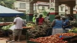 Gobierno cubano impone mayores controles sobre productos agrícolas Gobierno cubano impone mayores controles sobre productos agrícolas