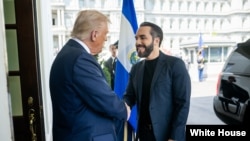 El presidente Donald Trump recibe en la Casa Blanca al mandatario Nayib Bukele, de El Salvador, el lunes 14 de abril. (Foto: X @WhiteHouse)