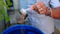 Reportan aumento de dengue y zika en Cienfuegos Reportan aumento de dengue y zika en Cienfuegos