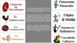 Reportaje de Yolanda Huerga Reportaje de Yolanda Huerga