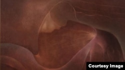 Fotogalería. Obras de la exhibición "Rafael Soriano: Cabezas"