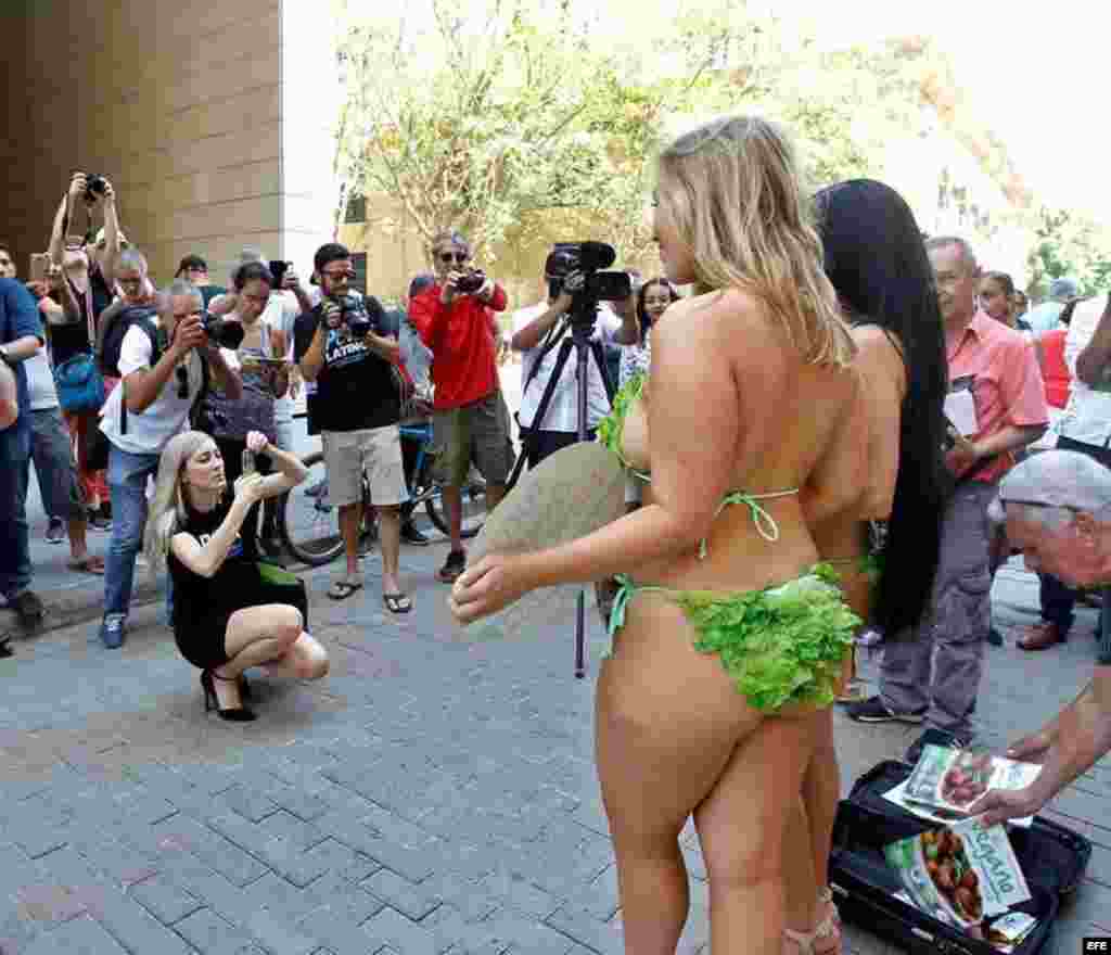 Fotógrafos toman fotos a las Damas lechuga, que posan en una calle habanera donde le pidieron a los cubanos que no coman carne...  