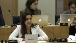 La funcionaria cubana Heidy Villuendas en el Parlamento Europeo La funcionaria cubana Heidy Villuendas en el Parlamento Europeo