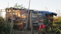 Reportaje de Tomás Cardoso sobre situación de presos en Bayamo Reportaje de Tomás Cardoso sobre situación de presos en Bayamo