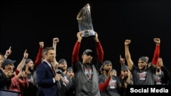 Medias Rojas de Boston