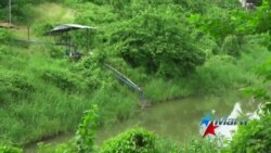 Contaminación en Los Coquitos de Jaibo Contaminación en Los Coquitos de Jaibo