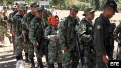 Las FARC son la guerrilla más antigua y numerosa de América, con casi 7.000 integrantes ahora concentrados en 26 puntos del país para dejar las armas.