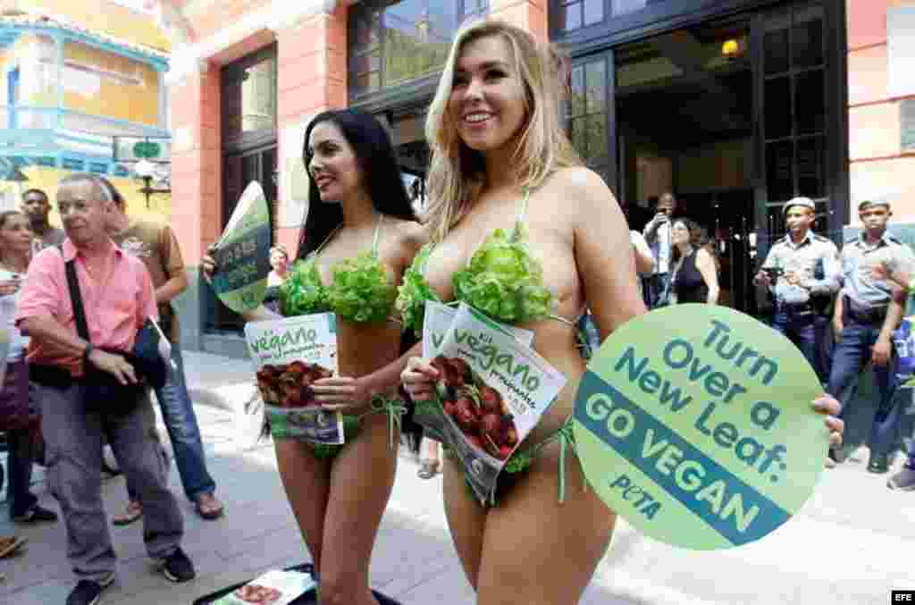 Las Damas lechuga llevan folletos de iniciación vegetariana en español, con recetas enfocadas en "alimentos que sabemos que a la gente le gusta comer (en Cuba): frijoles, arroz, plátanos".  