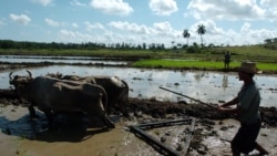 ¿Dónde está la ayuda de OXFAM? ¿Dónde está la ayuda de OXFAM?