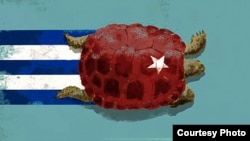 Tortuga que utilizara el autor en su blog para ilustrar historia.