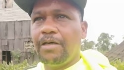 Testimonio del tabacalero Osmani Poveda Hernández Testimonio del tabacalero Osmani Poveda Hernández