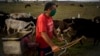 Un campesino se protege del coronavirus con una mascarilla, en Caimito, La Habana. (AP/ Ramón Espinosa)