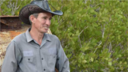 Las declaraciones de Zoe Valdés Las declaraciones de Zoe Valdés