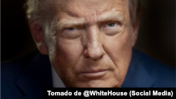 El presidente Trump anunció en sus redes sociales que se reunirá con Putin la próxima semana.