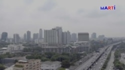 Los peligros de la contaminación ambiental Los peligros de la contaminación ambiental