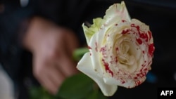 En Cuba no existe una ley integral contra la violencia de género, y el único proyecto presentado ha sido postergado hasta el 2028.