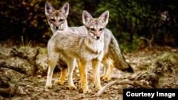 Obra de Andrés Pruna.