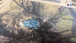 Inmigrantes arriesgan la vida para evadir a las autoridades en frontera sur de EE.UU. Inmigrantes arriesgan la vida para evadir a las autoridades en frontera sur de EE.UU.