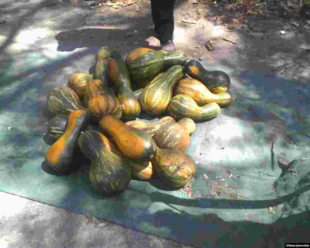 El reportero ciudadano de José R Borges recorre mercados privados  de venta a la población en Cabaiguán, Sancti Spíritus.